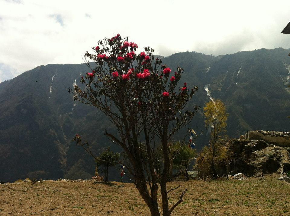 Hotel Namche Nāmche Bāzār Exteriér fotografie